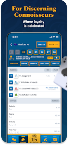 BetRoyale loyalty rewards and premium betting options.