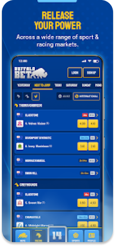 BuffaloBet promo showcasing its diverse sports and racing markets.