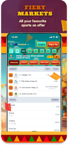 FiestaBet app showcasing a wide variety of sports markets.