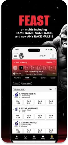 Alpha Bet multi-betting options including same game, same race, and any race multis.