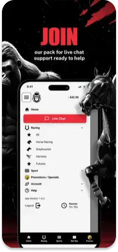 Alpha Bet app highlighting 24/7 live chat support for punters.