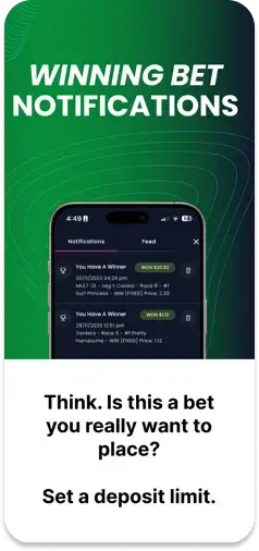 Bet Right app showing a responsible gambling message with winning bet notifications.