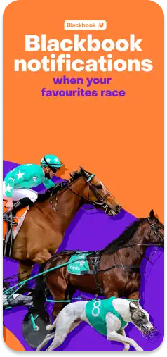 Neds Blackbook feature for race notifications.