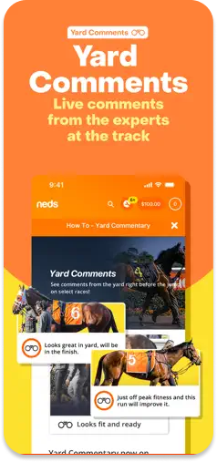 Neds Yard Comments feature.
