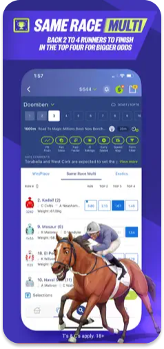 Palmerbet’s Same Race Multi feature, displaying betting selections for multiple runners.