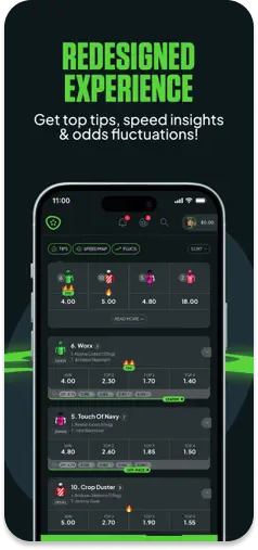 Picklebet’s newly redesigned interface with betting insights.