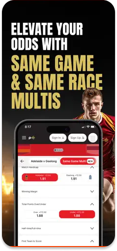PulseBet multi-betting options for racing and sports.