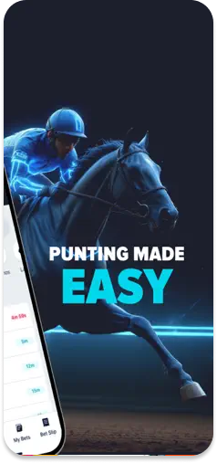 Punt123 homepage displaying user-friendly betting options.