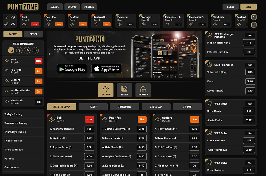 PuntZone website main menu – Featuring racing and sports betting options.