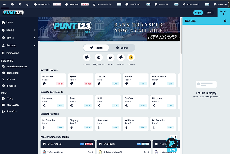 Punt123 Australian betting platform with a clean interface and wide-ranging sports markets.
